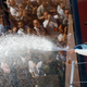 Photo credit: Manu Fernandez/AP Images